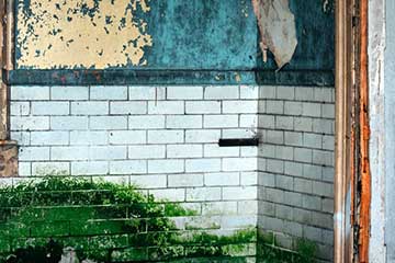 damp survey banner showing dampness within a room